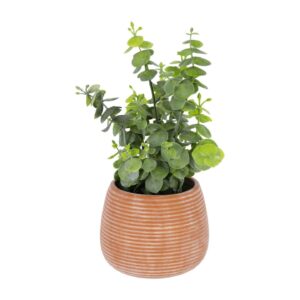 Køb LAFORMA Eucalyptus kunstig plante i brun potte online billigt tilbud rabat møbler